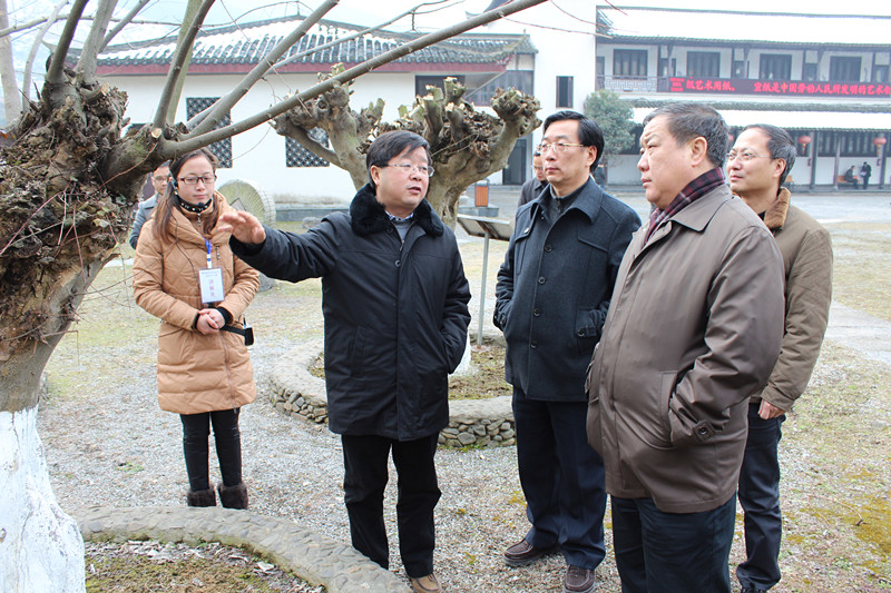 省委常委、省紀(jì)委書記王賓宜來宣紙文化園參觀指導(dǎo)