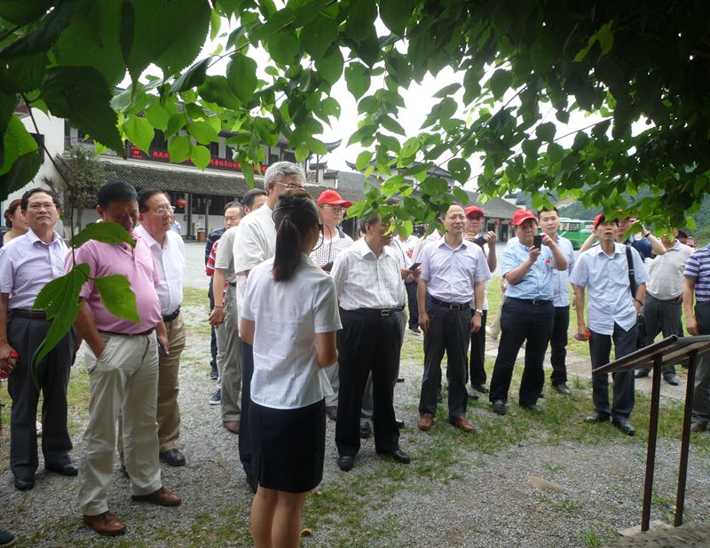 中國(guó)書(shū)協(xié)組聯(lián)工作會(huì)議代表參觀中國(guó)宣紙文化園